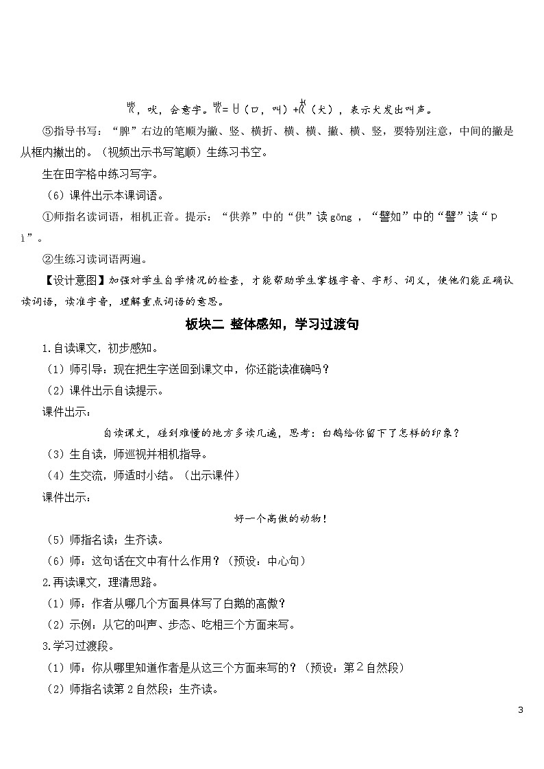 15 白鹅 课件+教案+素材03