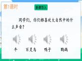 16 表里的生物  課件+教案+素材