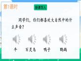 16 表里的生物  课件+教案+素材