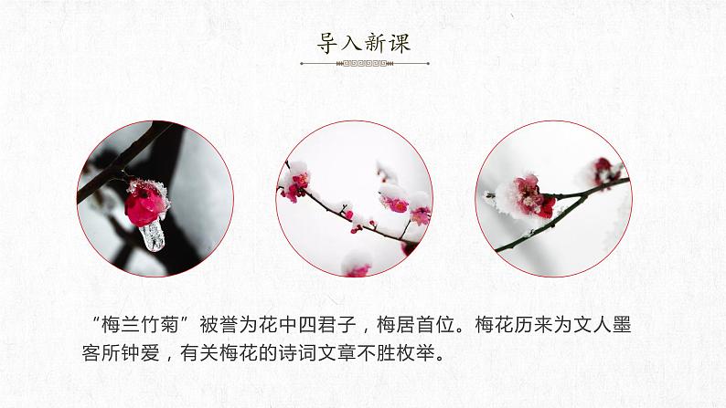 第4课《梅花魂》（教学课件+教案+学习任务单+分层作业）五年级语文下册部编版03