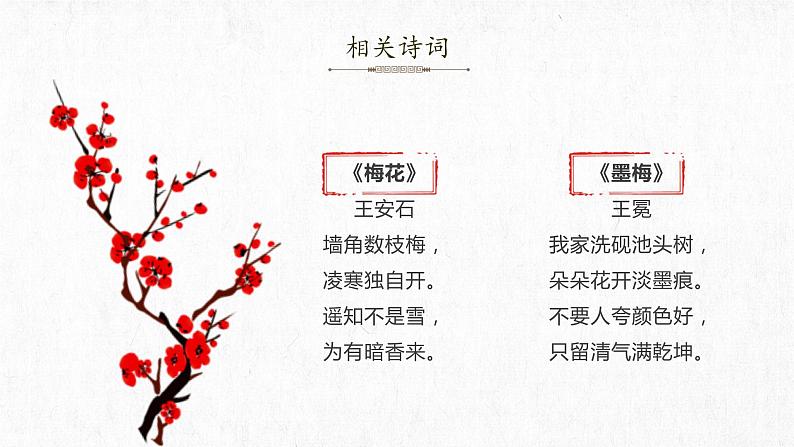 第4课《梅花魂》（教学课件+教案+学习任务单+分层作业）五年级语文下册部编版04