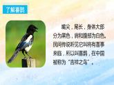 5.树和喜鹊（教学课件+教案+学习任务单+分层作业）一年级语文下册部编版