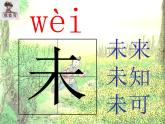 部编版四年级语文下册--1.古诗三首-宿新市徐公店（课件2）