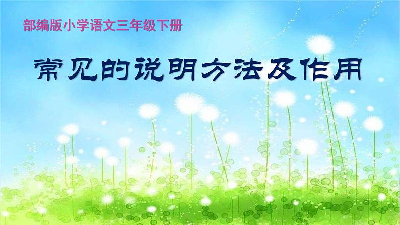 5.部编人教版小学三年级下册语文《常见的说明方法及作用》教学课件01