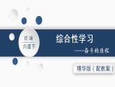 六语下（RJ） 第4单元 综合性学习  奋斗的历程 PPT课件+教案