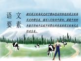 语文部编版五年级下册 第7单元 19 牧场之国 PPT课件+教案