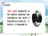语文部编版五年级下册 第7单元 19 牧场之国 PPT课件+教案