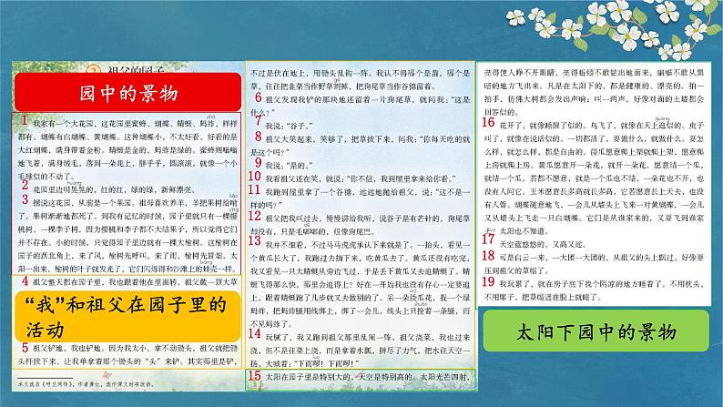 《祖父的园子》 第二课时课件PPT05