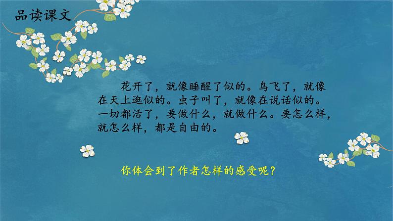 《祖父的园子》 第二课时课件PPT07