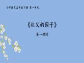 《祖父的园子》 第一课时课件PPT