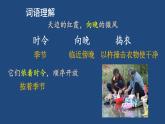 部编版四年级语文下册--2 乡下人家（课件2）