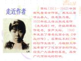 部编版五年级语文下册--2.祖父的园子（课件1）