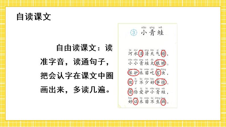 识字3 小青蛙 课件第8页