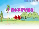 部编版二年级语文下册--4  邓小平爷爷植树（课件）