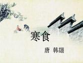部编版六年级语文下册--4.古代诗歌三首-寒食（课件）