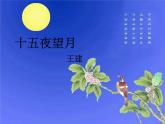 部编版六年级语文下册--4.古代诗歌三首-十五夜望月（课件）