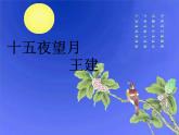 部编版六年级语文下册--4.古代诗歌三首-十五夜望月（课件1）