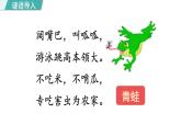 部编版二年级语文下册--识字3. 小青蛙 课件