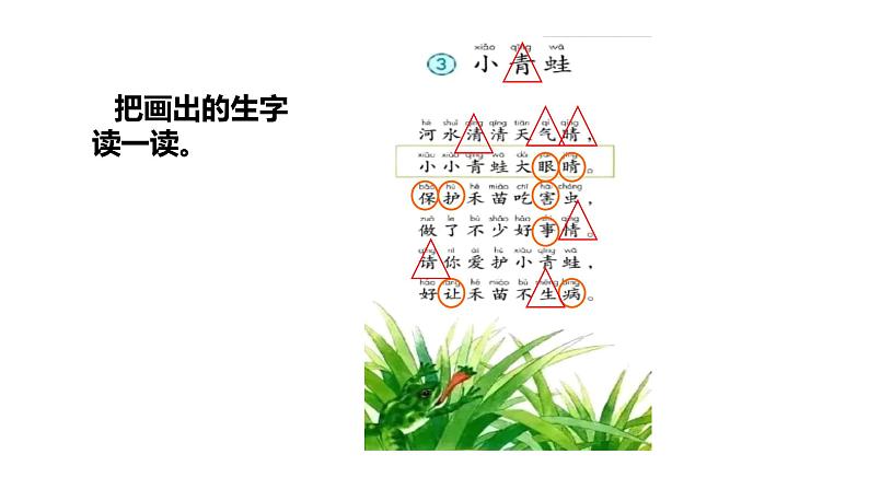 部编版二年级语文下册--识字3. 小青蛙 课件第6页