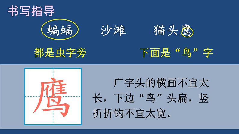 部编版四年级语文下册--3 天窗（课件2）第7页