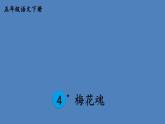部编版五年级语文下册--4 梅花魂（课件2）