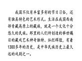 部编版六年级语文下册--4 藏戏（课件2）