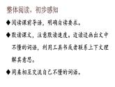 部编版六年级语文下册--4 藏戏（课件2）