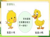 人教一语下 第3单元  4 小公鸡和小鸭子 PPT课件+教案
