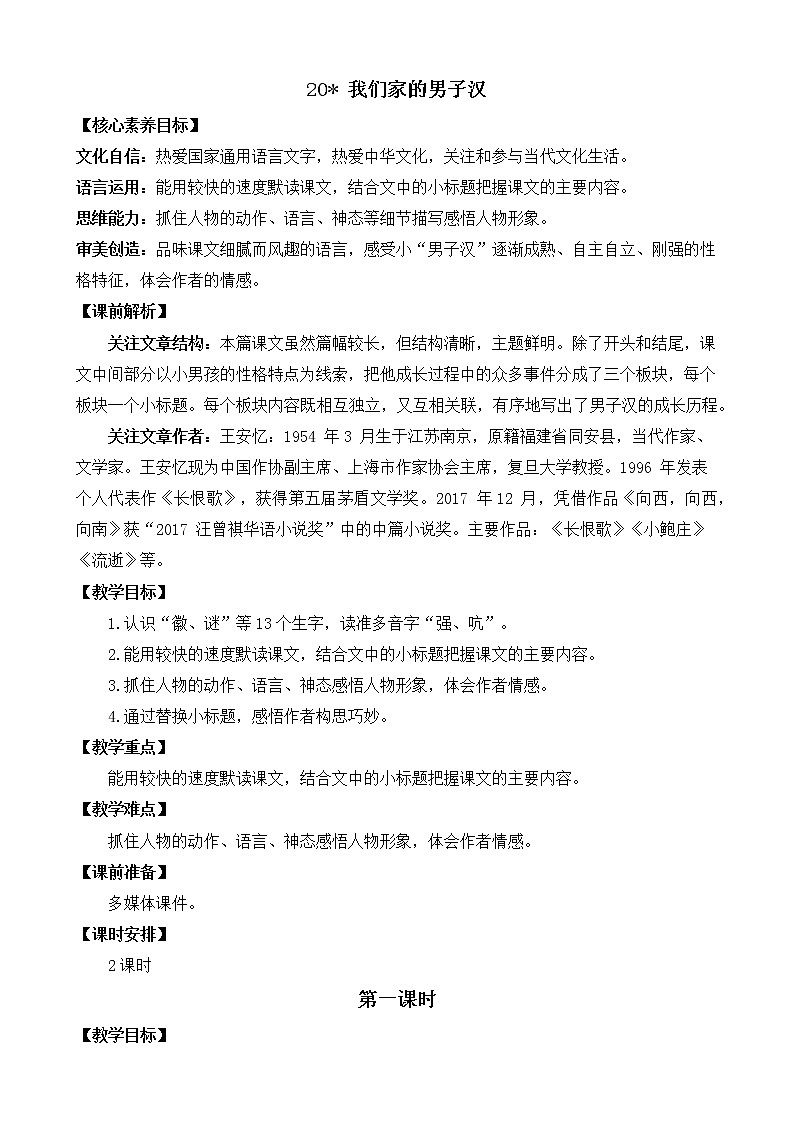 20 我们家的男子汉 优质教案第1页