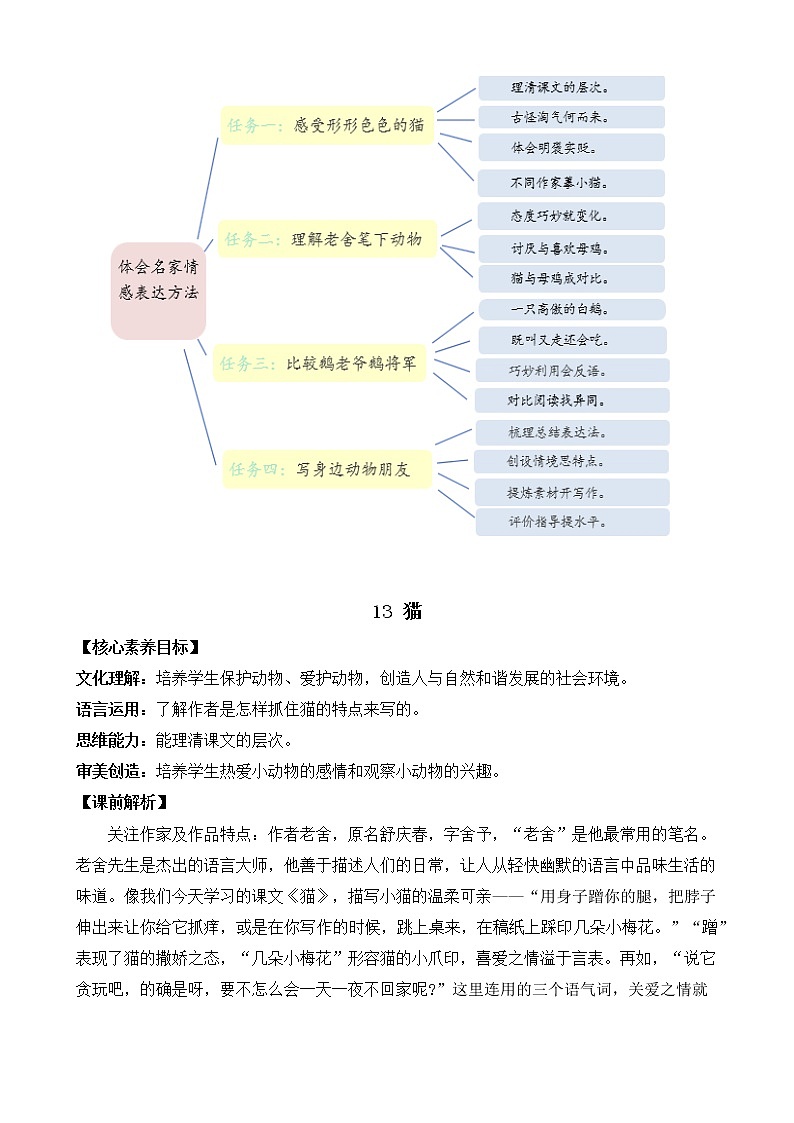 13 猫 优质教案03