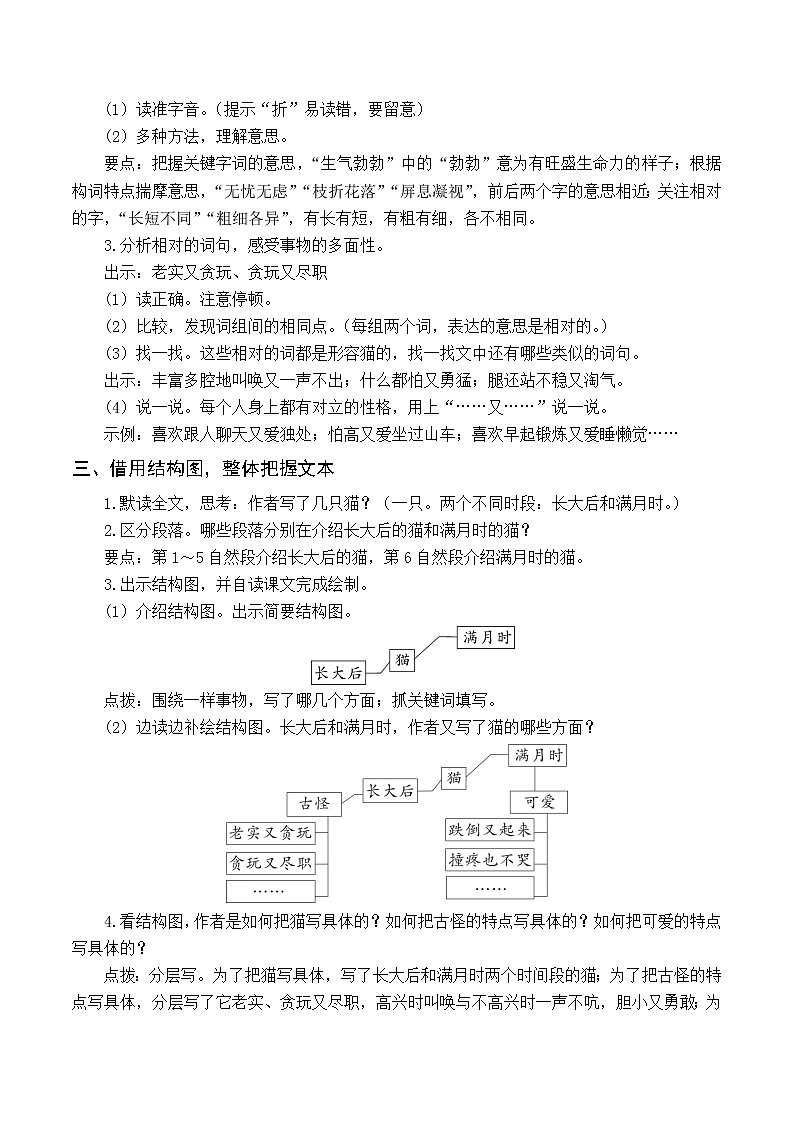 （教案与教学反思）13 猫第2页