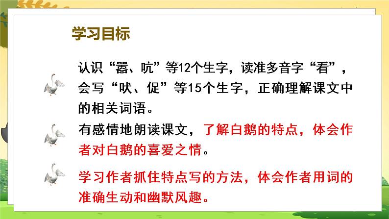 人教4语下 第4单元 15.白鹅 PPT课件+教案06