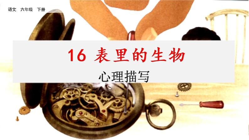 第五单元 16 表里的生物 课件＋教案＋素材01