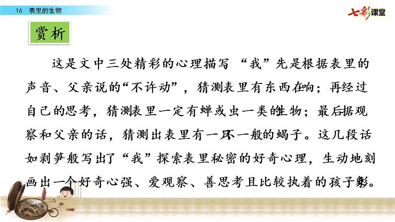 第五单元 16 表里的生物 课件＋教案＋素材05