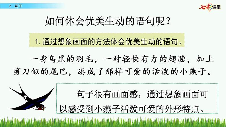 第一单元 2 燕子 课件＋教案＋素材03