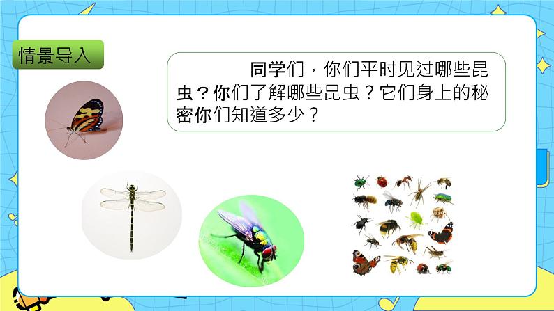 第一单元 4 昆虫备忘录 课件＋教案＋素材02