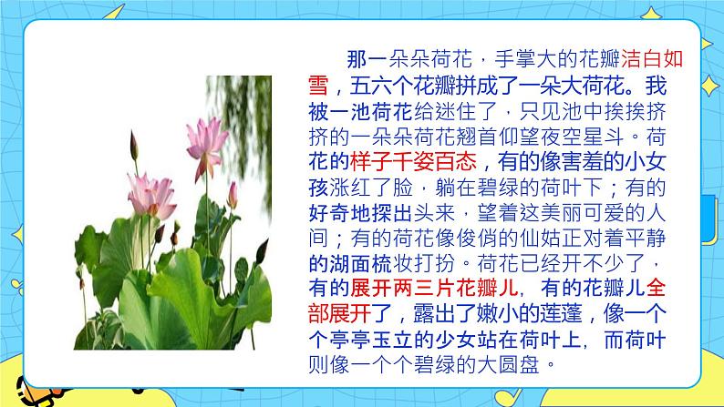 第一单元 习作：我的植物朋友 课件＋教案＋素材03