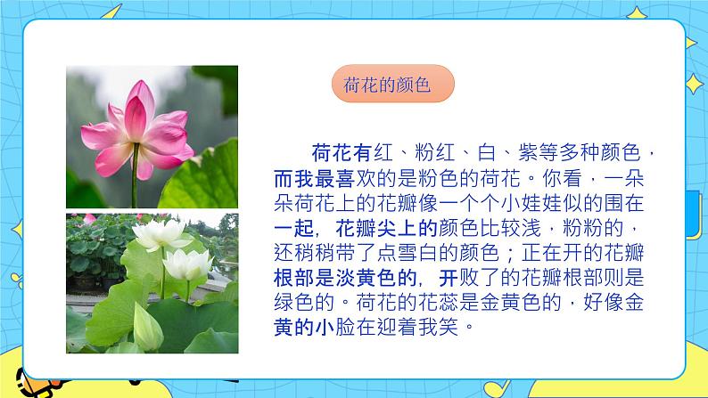 第一单元 习作：我的植物朋友 课件＋教案＋素材04