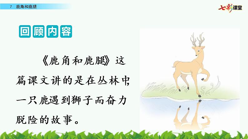 第二单元 7 鹿角和鹿腿 课件＋教案＋素材02