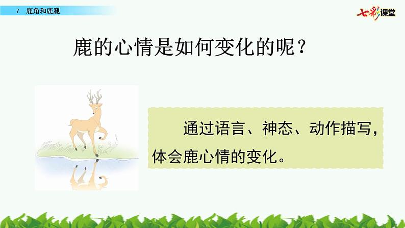 第二单元 7 鹿角和鹿腿 课件＋教案＋素材03