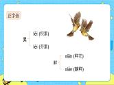 第三单元 10 纸的发明 课件＋教案＋素材