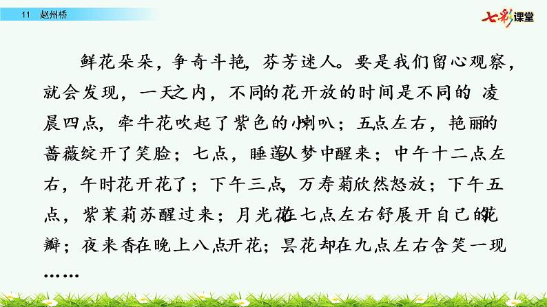 第四单元 13 花钟 课件＋教案＋素材05