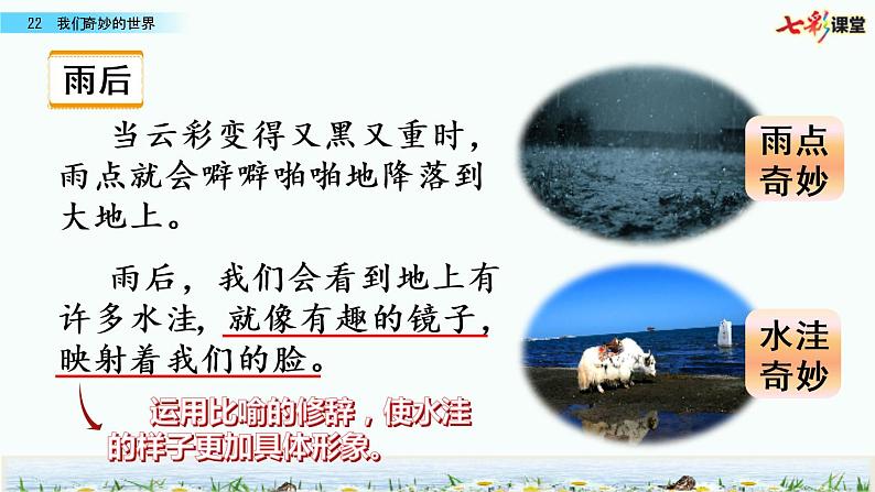 第七单元 22 我们奇妙的世界 课件＋教案＋素材07