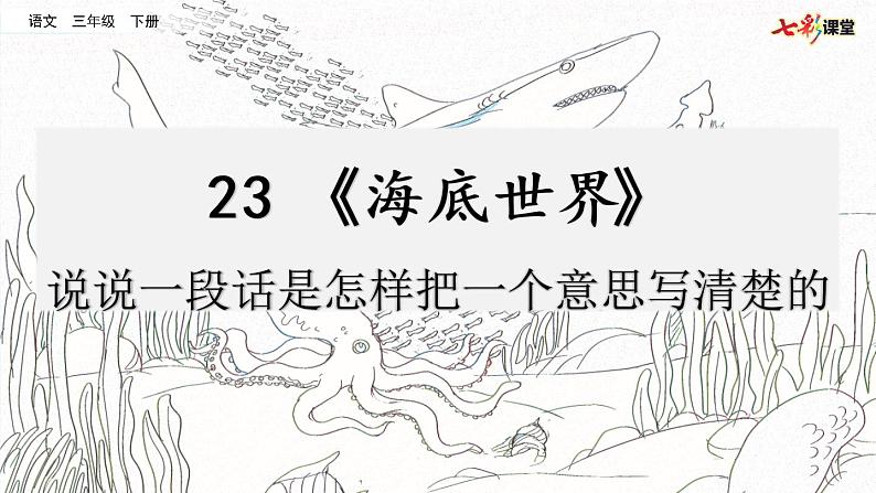 第七单元 23 海底世界 课件＋教案＋素材01