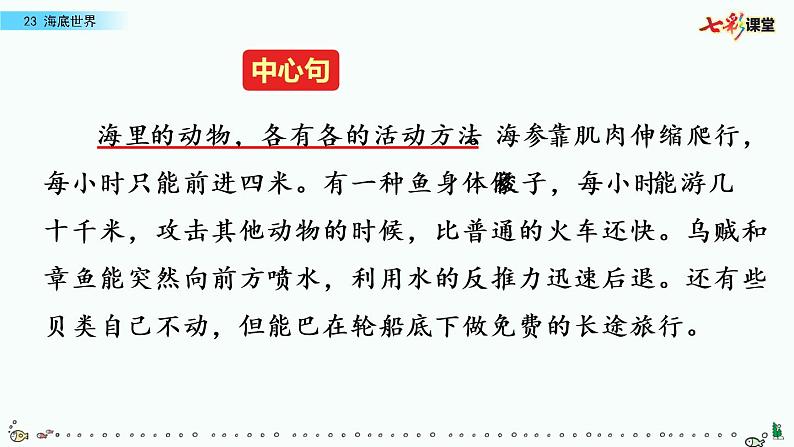 第七单元 23 海底世界 课件＋教案＋素材04