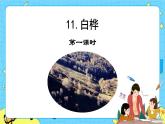 第三單元 11 白樺 課件＋教案＋素材