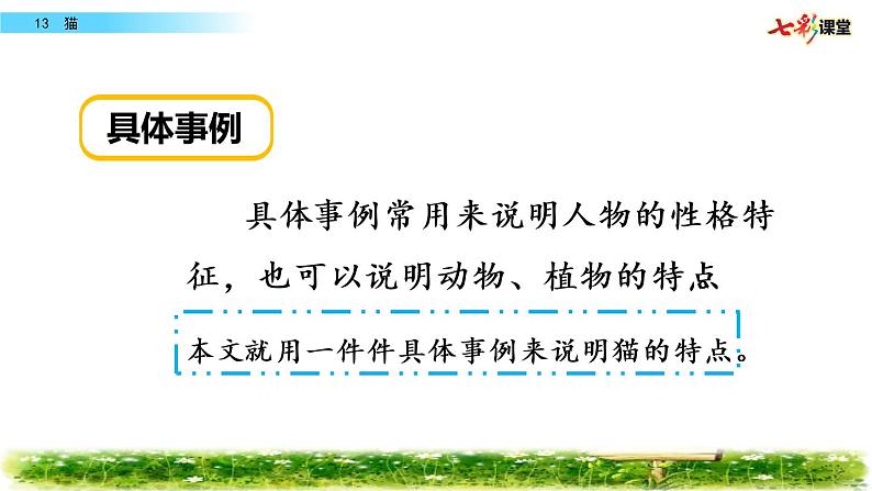 第四单元 13 猫 课件＋教案＋素材02