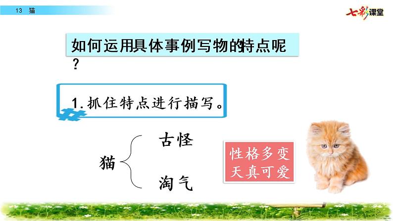第四单元 13 猫 课件＋教案＋素材03