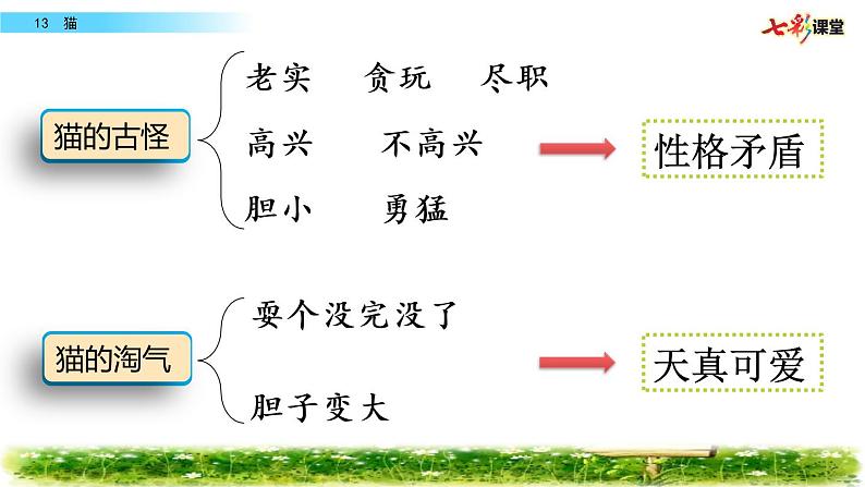 第四单元 13 猫 课件＋教案＋素材04