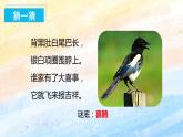 部编版语文一年级下册 5.树和喜鹊 课件+同步教案+同步练习